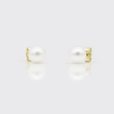 Ohrstecker - weiße Süßwasserperle (7,5-8 mm)